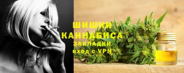 сатива Алзамай