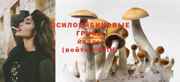 сатива Алзамай